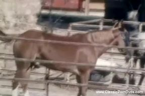 Serious Sex From The Seventies &ndash; She Rocks Her Body