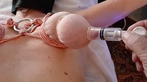 wj games - pumped up nipples and ass in bondage anal fuck