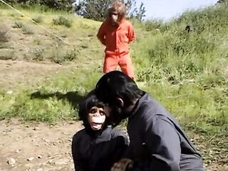 XXX Parody Episode Planet of the Hotties