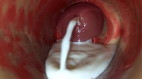 Camera Inside Deep Pussy Captures Huge Ejaculation of Sperm ASMR